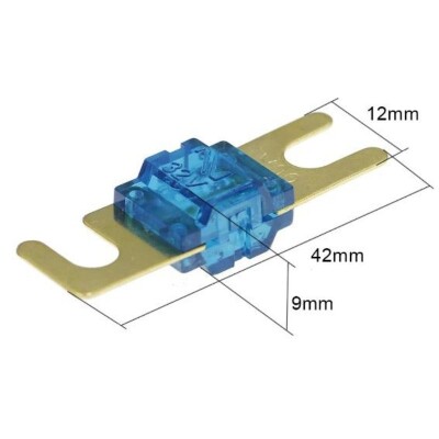 100A Auto Amplifier Fuse - ANL Sigorta - 2