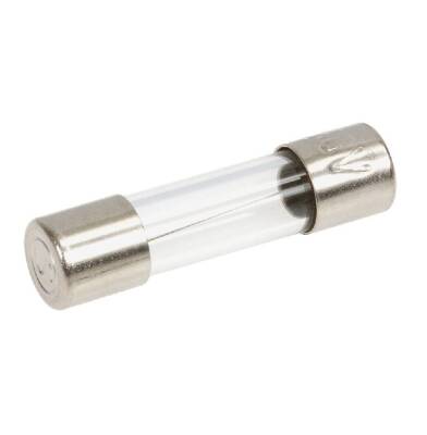 100mA 5x20mm Glass Fuse - 1