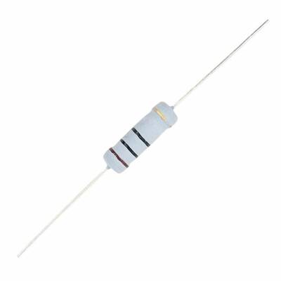 100R 2W Resistor - 10 Pieces - 1