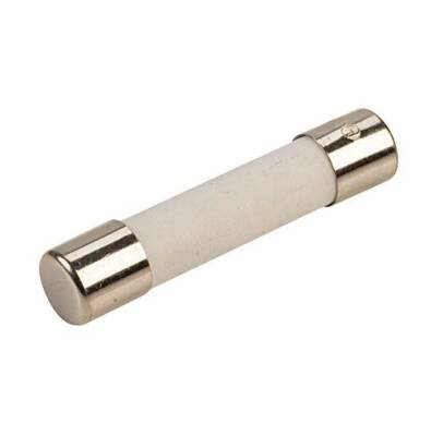 10A 5x20mm Delay Ceramic Fuse - 1