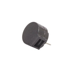 12mm Passive Buzzer - 1