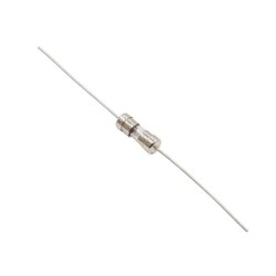 1A 3.6x10mm Delay Glass Fuse 