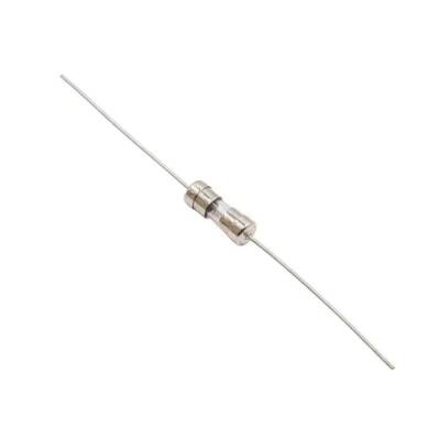 1A 3.6x10mm Delay Glass Fuse - 1