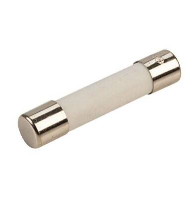 20A 5x20mm Delay Ceramic Fuse - 1