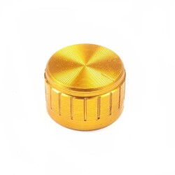 21x13 Aluminum Potentiometer Head - Gold 