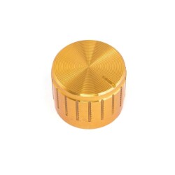 21x17 Aluminum Potentiometer Head - Gold 