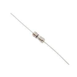 2.5A 3.6x10mm Delay Glass Fuse 