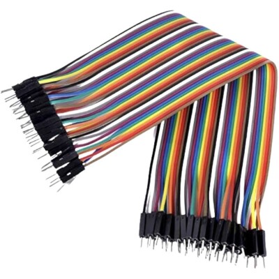 40pin 20cm Male-Male Jumper Cable - 1