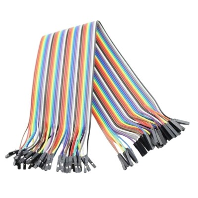 40pin 30cm Female-Female Jumper Cable - 1