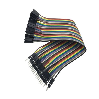 40pin 30cm Male-Female Jumper Cable - 1