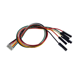 6-Pin ZH 1.5mm Female - 2.54mm Female Dupont Converter Cable - 20cm 