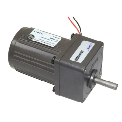 60mm 220V 125 RPM AC Motor YN60-10 - 2