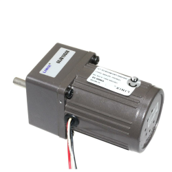 60mm 220V 125RPM AC Motor YN60-10 