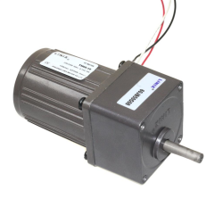 60mm 220V 25 RPM AC Motor YN60-10 - 2