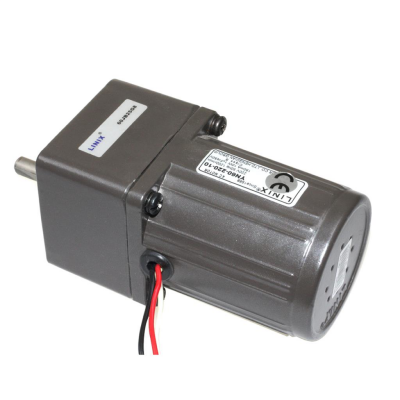 60mm 220V 50 RPM AC Motor YN60-220-10 - 1