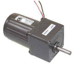 60mm 220V 50 RPM AC Motor YN60-220-10 - 2