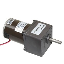 60mm 24V 20RPM DC Motor 55ZY24-25-02 - 2