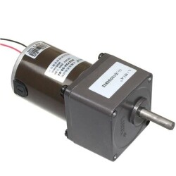 60mm 24V 30RPM DC Motor 55ZY24-25-02 - 2