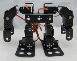 8 Axis Humanoid Robot - Humanoid Robot - 2