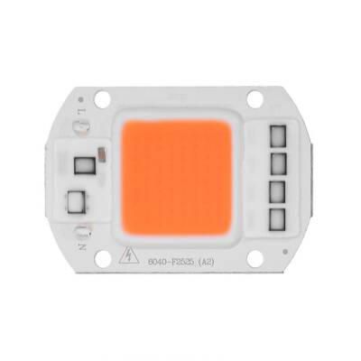 Amber Amber 220V Projector Cob Led 50W Driver Chip - 1