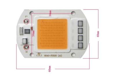 Amber Amber 220V Projector Cob Led 50W Driver Chip - 4