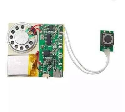 Button Controlled Sound Recording and Playback Module - 1