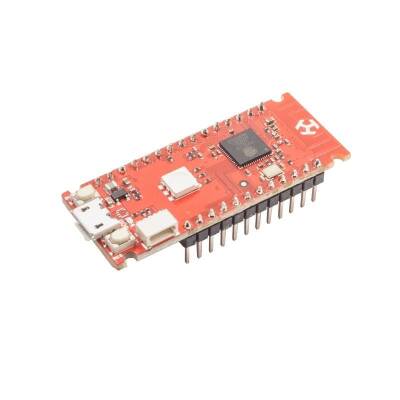 Deneyap Mini Electronic Development Board - 1