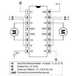 L293D Motor Driver IC - 2