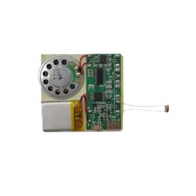 Ldr Light Sensor Controlled Sound Recording and Playback Module - 1