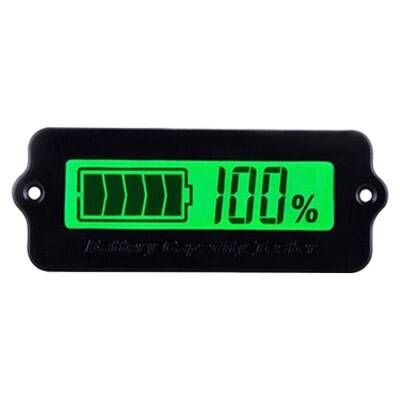 Lithium Battery / Battery Capacity Indicator 8-63V LY6W - 1