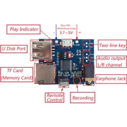 MP3 Controlled Amplifier Circuit SD Card + USB Memory Supported - 2