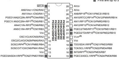 PIC24HJ128GP202-I/SP SPDIP-28 80MHz Microcontroller - 2