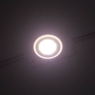 Single Waterproof Cob Led Module - Daylight 12V 2.4W - 2