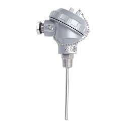 TRPT2-231-8-250-1/2 - 250 mm 2xPT-100 Head Type Thermocouple 