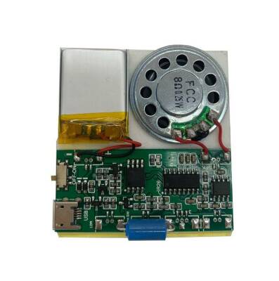 Vibration Sensor Controlled Audio Recording and Playback Module - 1