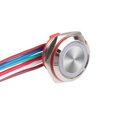 WD16C1-Wired-P1-E 16mm Düz Yaylı RGB Işıklı Metal Buton - Kablolu - 1