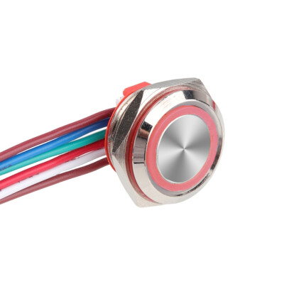 WD16C1-Wired-P1-E 16mm Flat Spring Red Illuminated Metal Button - Wired - 1