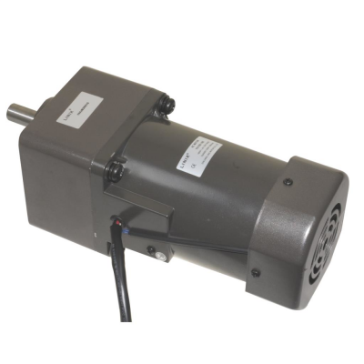 YN100-120 220V 36RPM AC Motor - 1